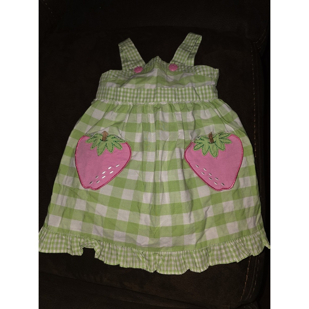 Sophie rose strawberry green plaid dress‎ size 12 months